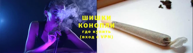 гидра Беломорск